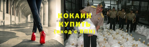 спайс Алзамай