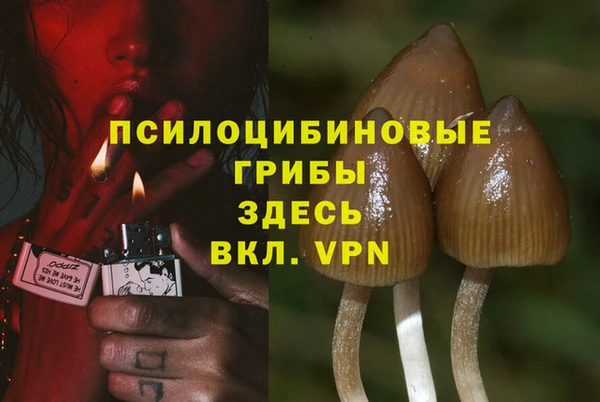 соль ск Алексеевка