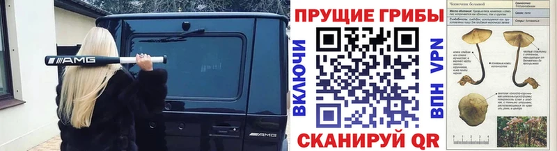Галлюциногенные грибы Magic Shrooms  Цивильск 