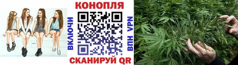 Бошки Шишки VHQ  Цивильск 
